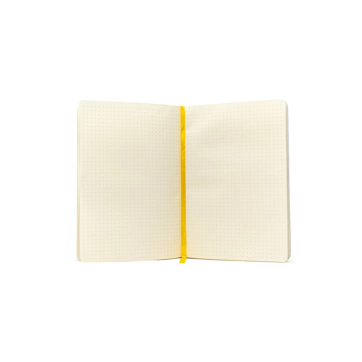 Exandria Unlimited Journal - Image 3